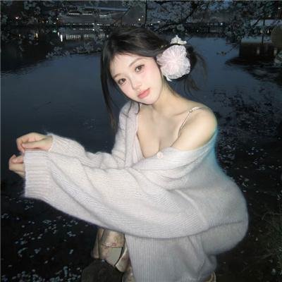 机器人与法兰克